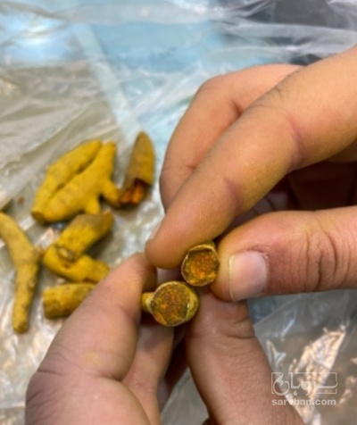 فروش  زردچوبه قلم