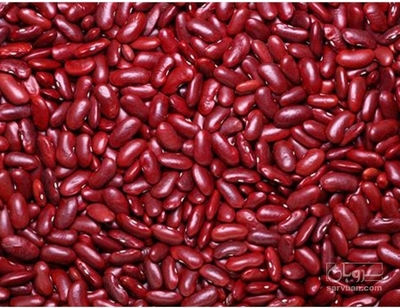 فروش لوبیا قرمز