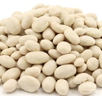 فروش لوبیا سفید