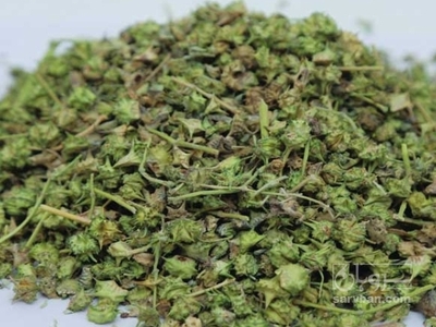 فروش بادرنجبویه (گیاه‌ دارویی)
