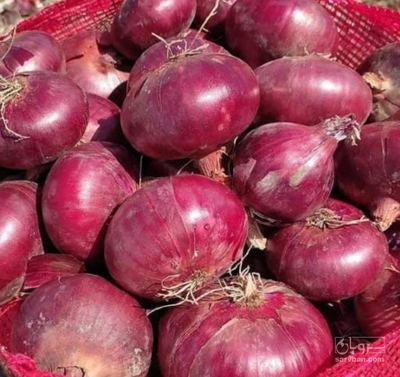 فروش پیازقرمز