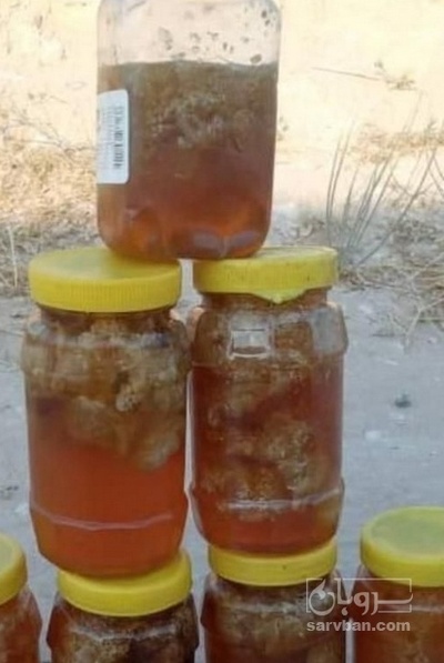 فروش عسل کوهی اصل درمانی