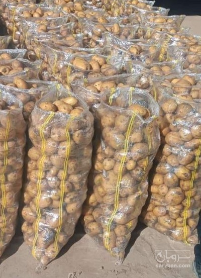 فروش سیب زمینی اگریا