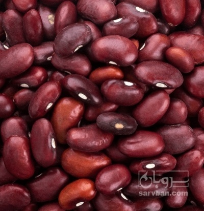 فروش لوبیا قرمز