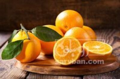 فروش پرتقال