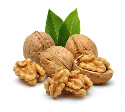 فروش گردو