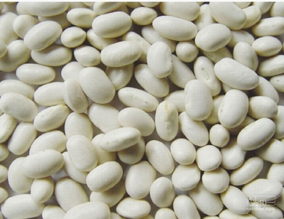 فروش لوبیا سفید
