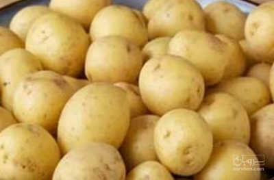 فروش سیب زمینی