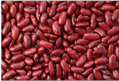 فروش لوبیا قرمز