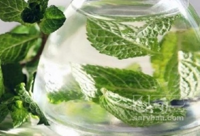 فروش عرق نعناع