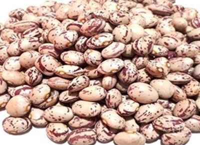 فروش لوبیا چیتی