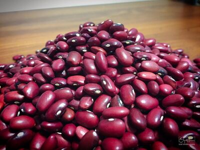 فروش لوبیا قرمز