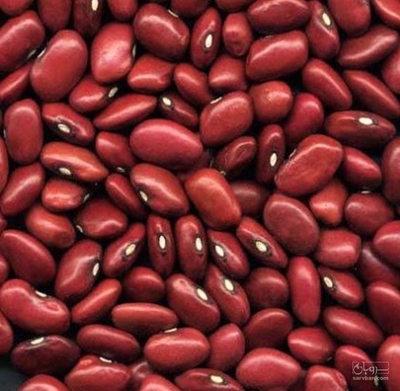 فروش لوبیا قرمز