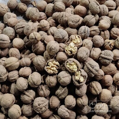 فروش گردو