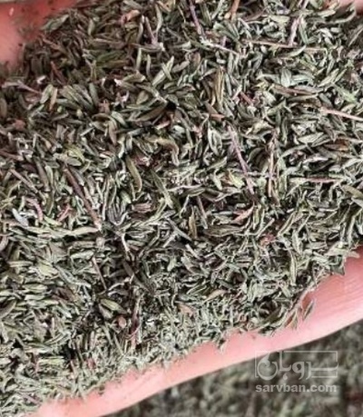 فروش برگ آویشن (گیاه‌ دارویی)