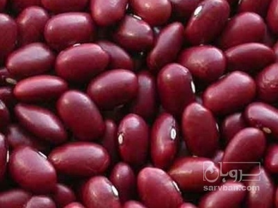 فروش لوبیا قرمز