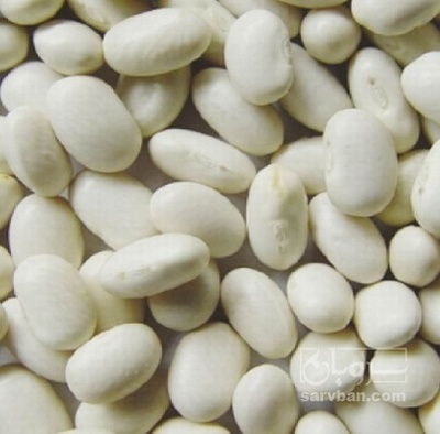 فروش لوبیا سفید دستچین صادراتی ازنا