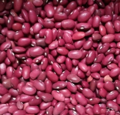 فروش لوبیا قرمز