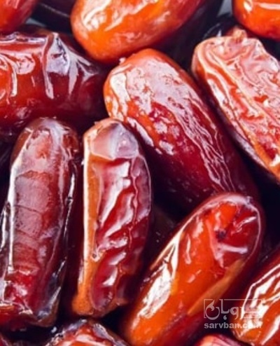فروش خرما ربی