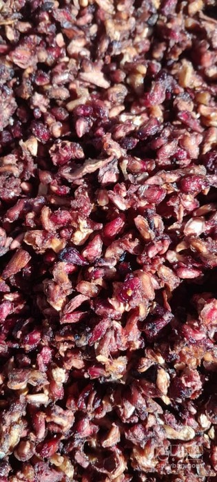 فروش هسته - دانه انار