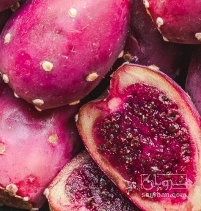 فروش میوه کاکتوس