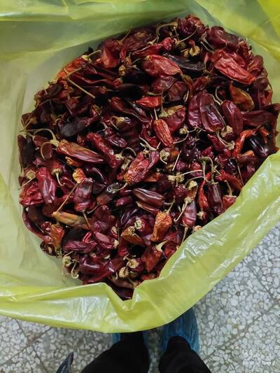 فروش فلفل قرمز خشک