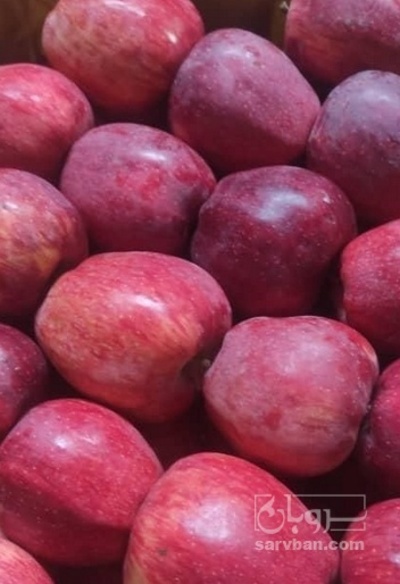 فروش سیب قرمز فله