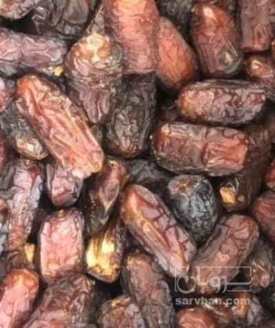 فروش خرما پیارم