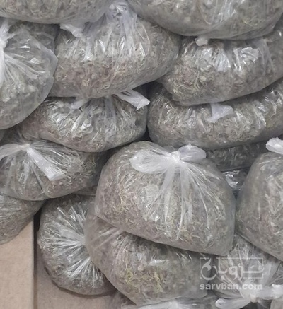 فروش چای کوهی (گیاه‌ دارویی)