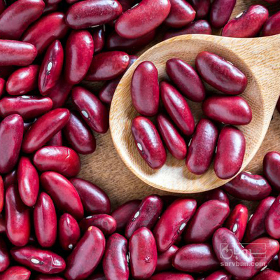 فروش لوبیا قرمز
