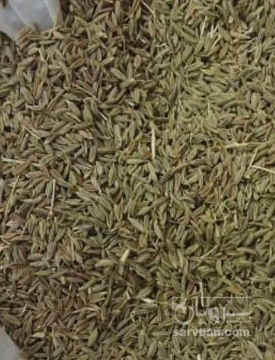 فروش زیره سبز خرمن کوب