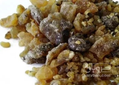 فروش آنغوزه (گیاه‌ دارویی)