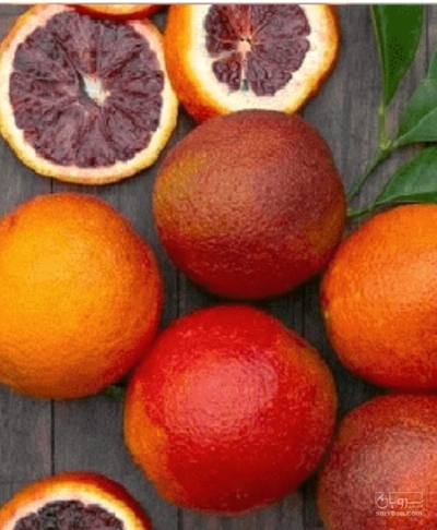 فروش پرتقال