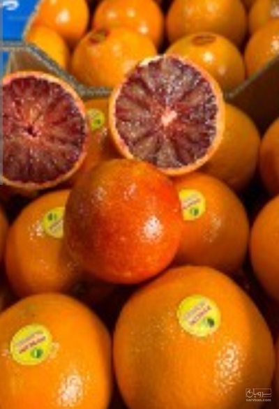 فروش پرتقال