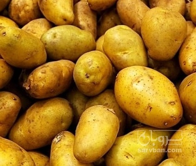 فروش سیب زمینی جلی