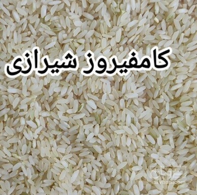 فروش برنج کامفیروزی