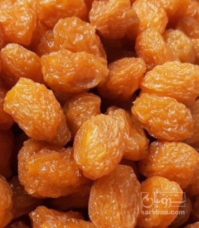 فروش آلو بخارا افتابی