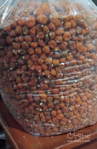 فروش فیسالیس - میوه خشک