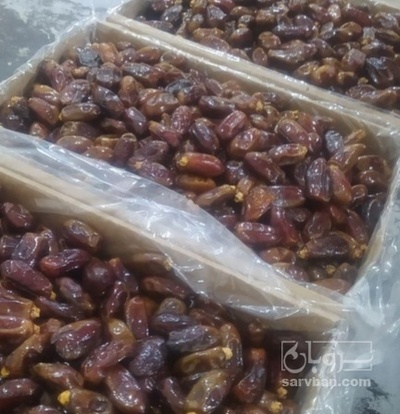 فروش خرما استعمران