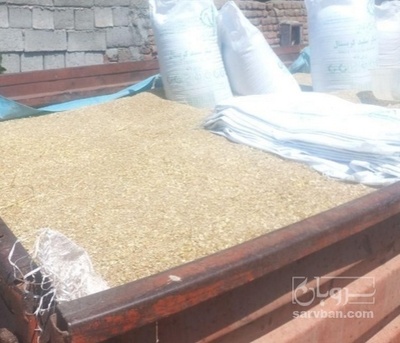 فروش  کتان (گیاه‌ دارویی)