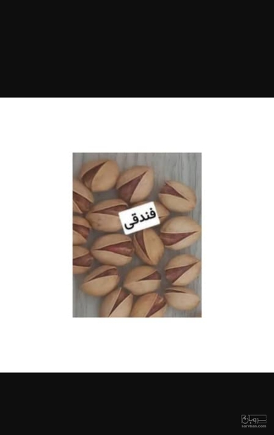 فروش پسته فندقی