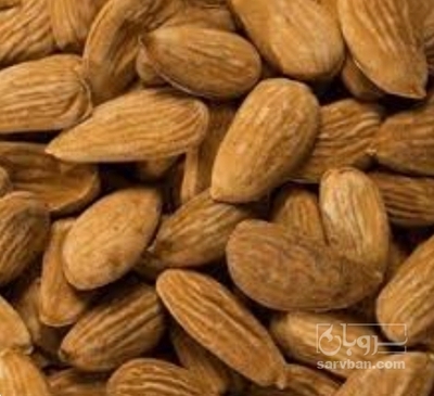 فروش بادام درختی