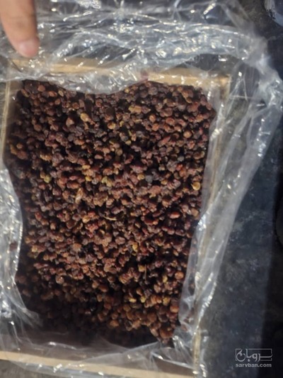 فروش کشمش آفتابی