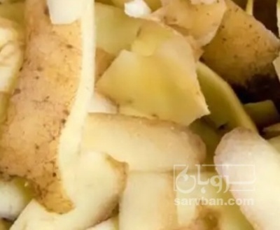 فروش ضایعات سیب زمینی