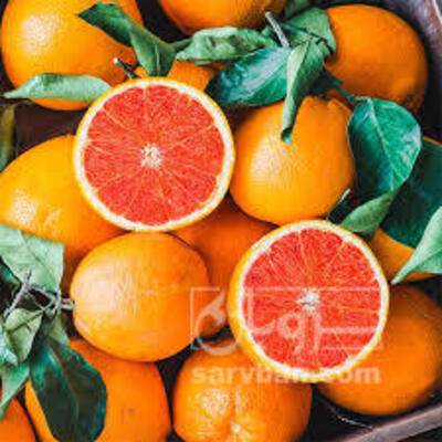 فروش پرتقال خونی