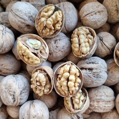 فروش گردو