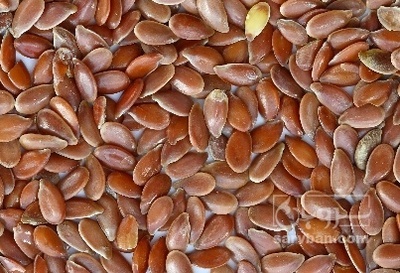 فروش کتان (گیاه الیافی)