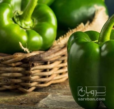 فروش فلفل دلمه ای