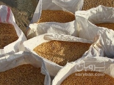 فروش گندم