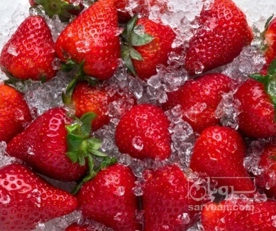 فروش توت فرنگی منجمد